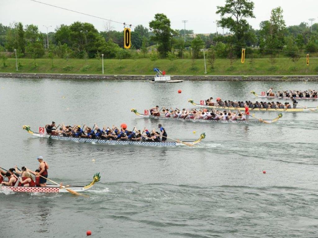 dragon boat race